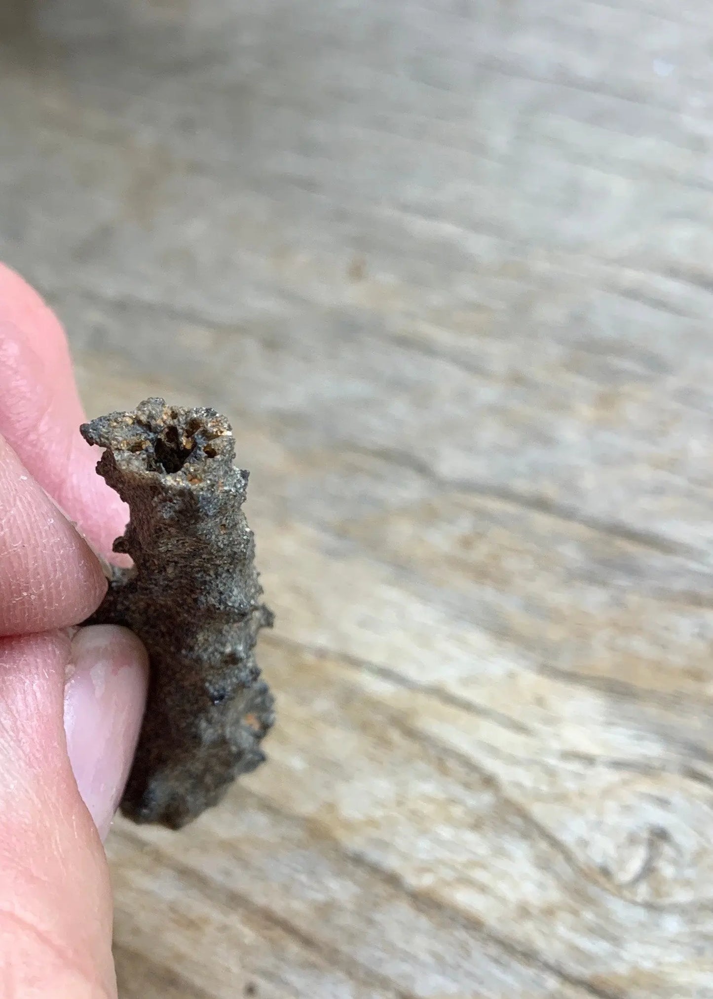 Raw Fulgurite RAW-0492 Shop Wholesale Crystals