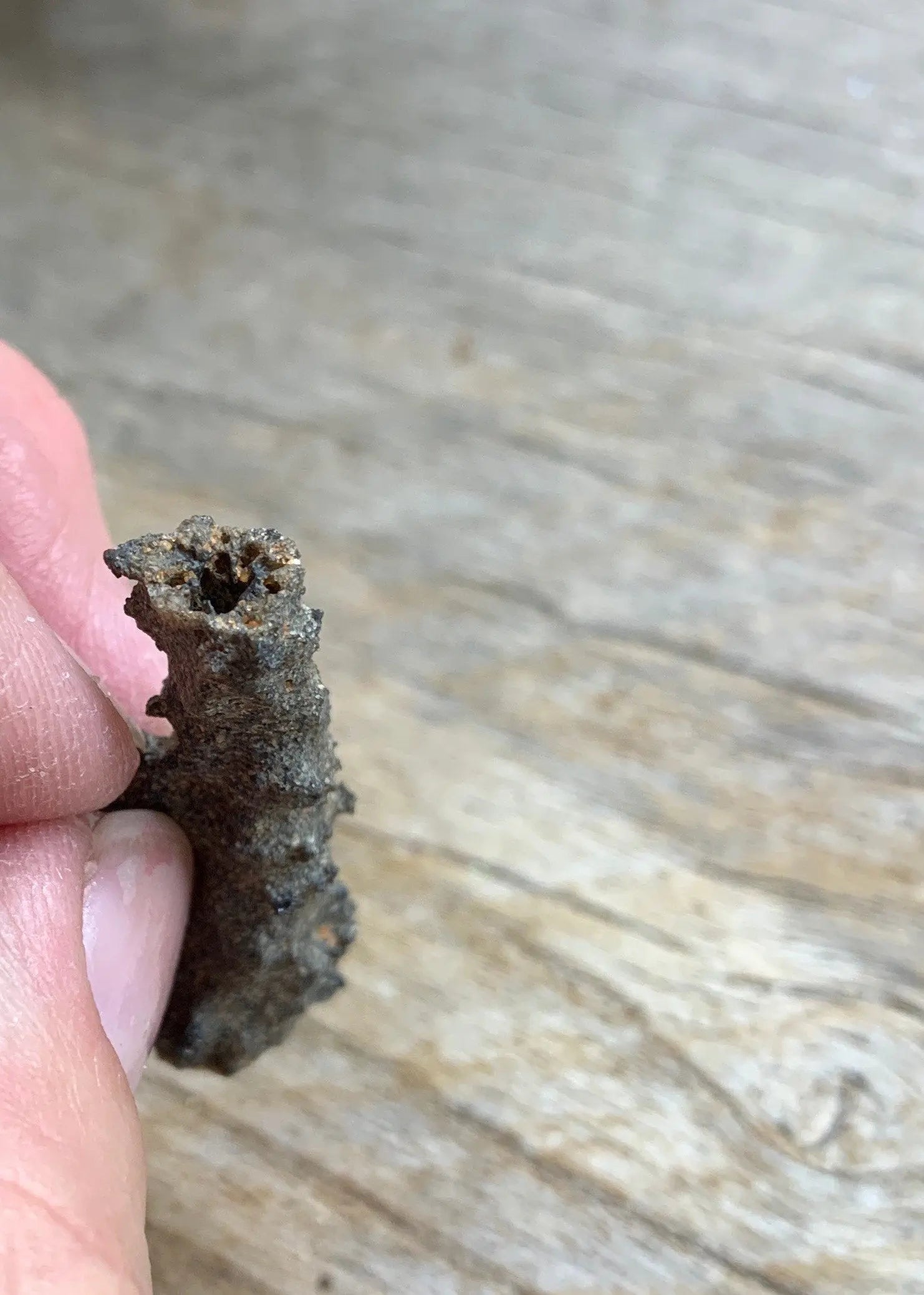 Raw Fulgurite RAW-0492 Shop Wholesale Crystals