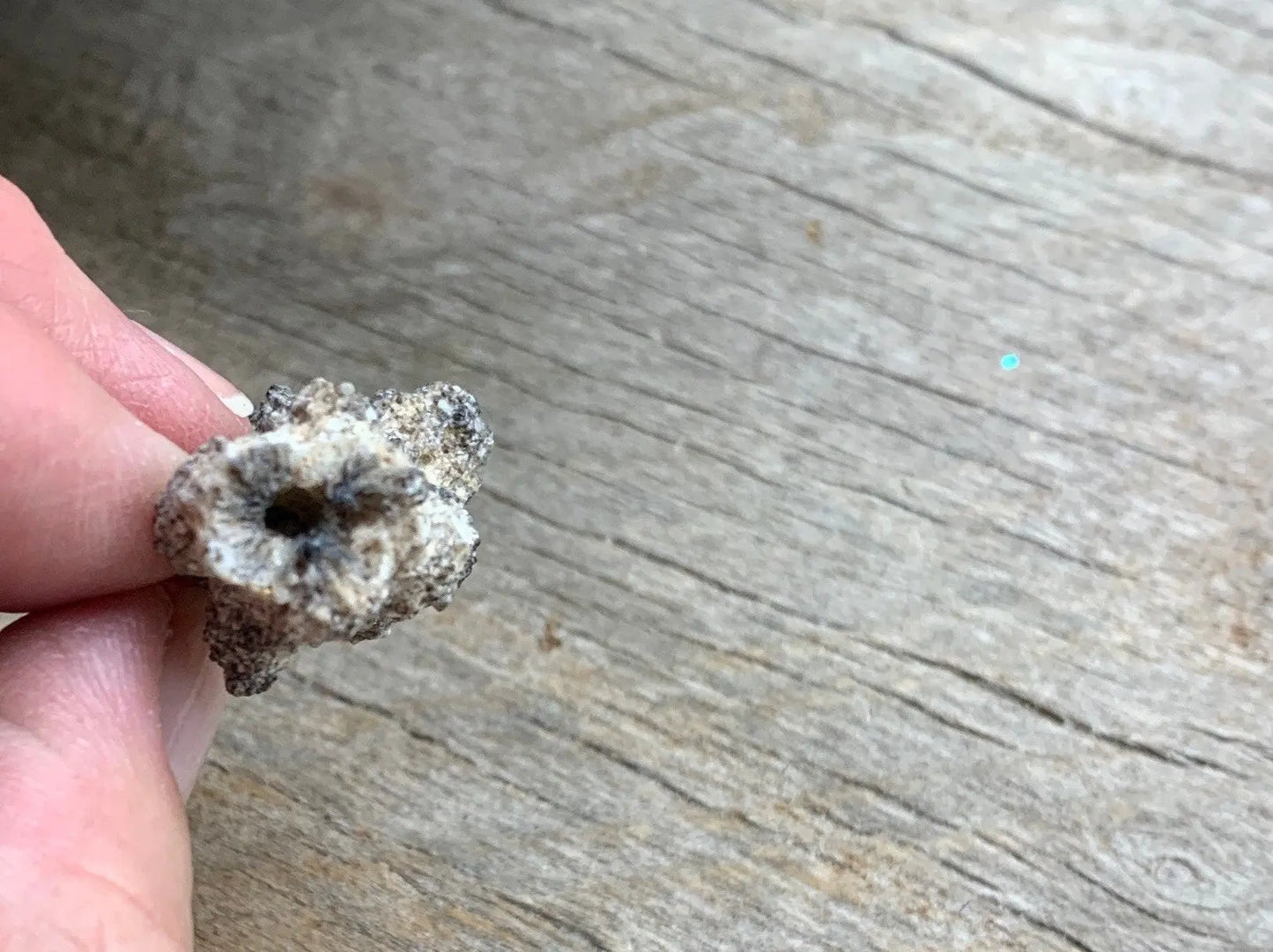 Raw Fulgurite RAW-0433 Shop Wholesale Crystals