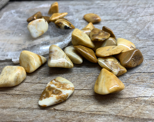 Yellow Jasper Tumbled Stone 0683 (Approx. 3/4”- 1”)