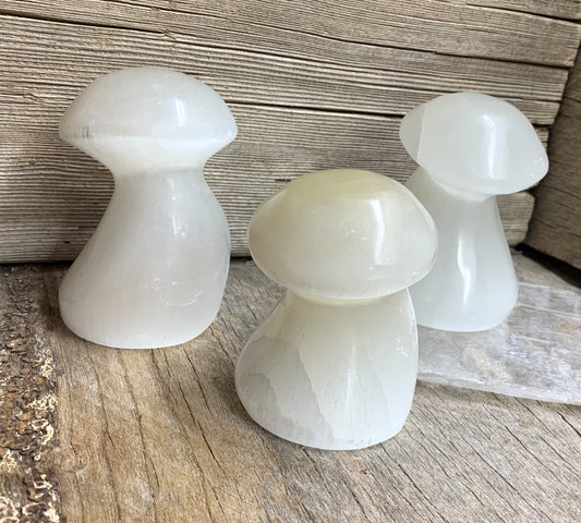 Carved Selenite Mushroom S-0065 (2 3/4”- 4”)