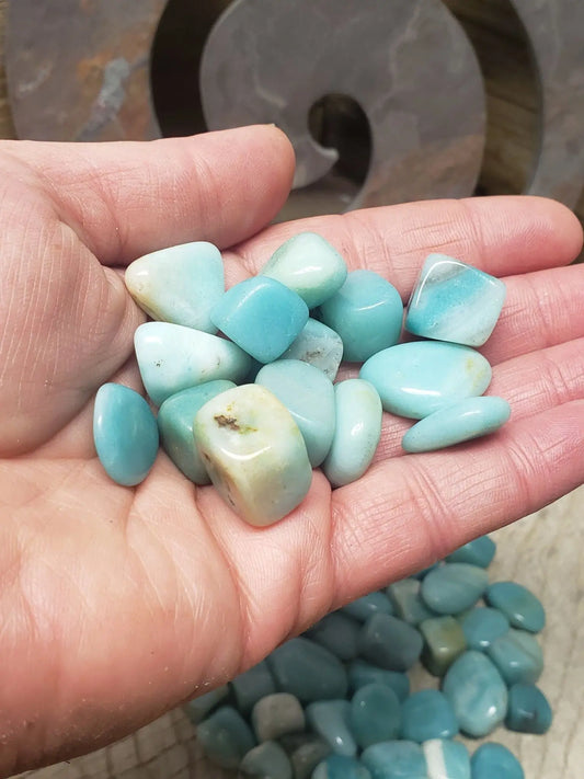 Amazonite Polished Stone (Small- Approx 1/2" - 3/4") BIN-1217 Shop Wholesale Crystals