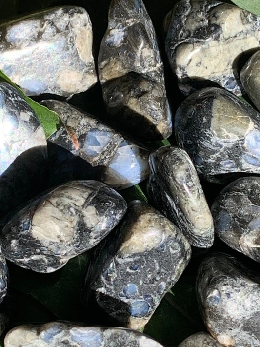 Que Sera Polished Stone 1278 - Shop Wholesale Crystals