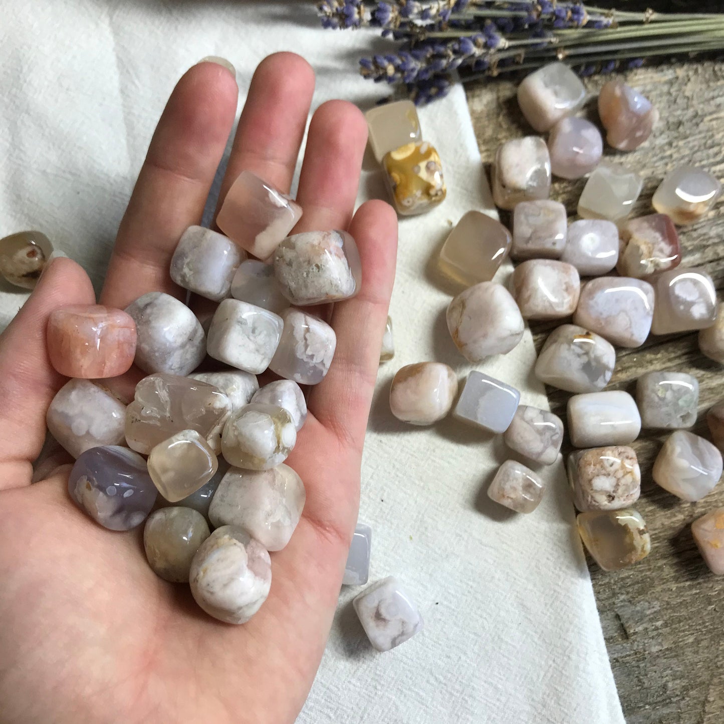 Polished Flower Agate, Cherry Blossom Agate BIN-1332 Tumbled Stone (Approx. 5/8" - 3/4") for Wire Wrapping or Crystal Grid Supply