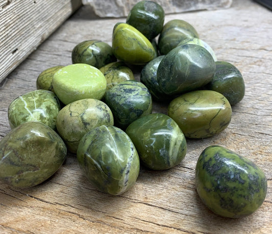 Serpentine Tumbled Stone BIN-1534 Approx. 1”- 1 1/2” - Shop Wholesale Crystals