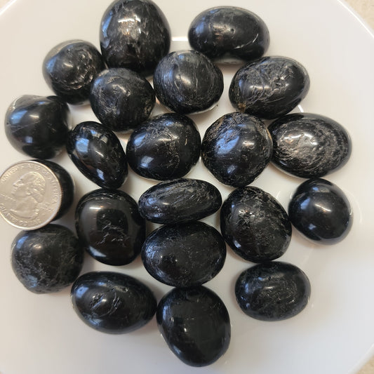 Black Tourmaline Tumbled Stone, 1 Pound Bag (Approx. 20-30 mm) WT-0029