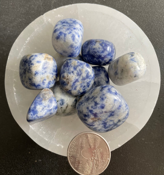 Blue Dot Stone Tumbled Stone, 1 Pound Bag (Approx. 15-25 mm) WT-0021