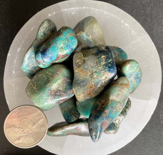 Chrysocolla Tumbled Stone, 1 Pound Bag (Approx. 20-30 mm) WT-0038