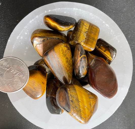 Golden Tiger Eye Tumbled Stone, 1 Pound Bag (Approx. 20-30 mm) WT-0055