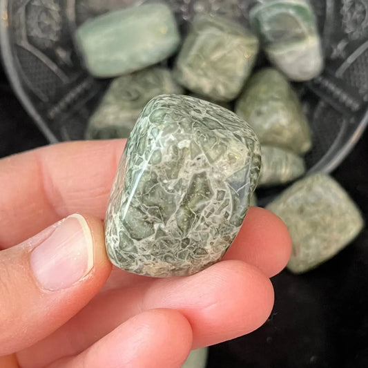 Green Zebrastone Tumbled Stone, 1 Pound Bag  WT-0059 - Shop Wholesale Crystals