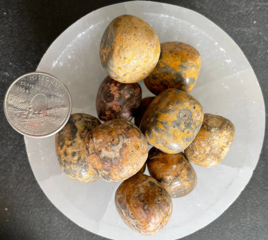 Leopard Skin Jasper Tumbled Stone, 1 Pound Bag (Approx. 20-25 mm) WT-0079-A - Shop Wholesale Crystals