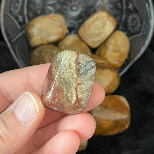 Meat Stone Cube Tumbled Stone, 1 Pound Bag. WT-0091 - Shop Wholesale Crystals