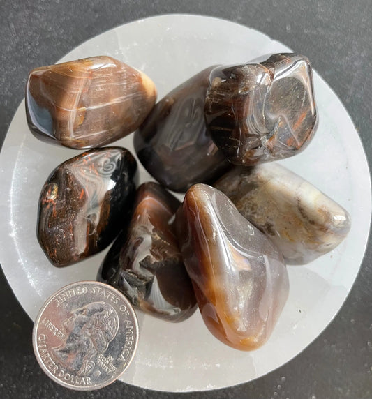 Prettified Wood Tumbled Stone, 1 Pound Bag (Approx. 20-30 mm) WT-0103 - Shop Wholesale Crystals