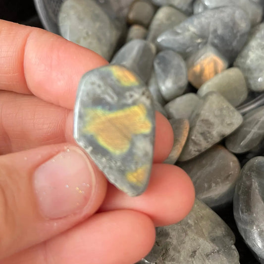 Purple Yellow Labradorite Tumbled Stone, 1 Pound Bag WT-0037 - Shop Wholesale Crystals
