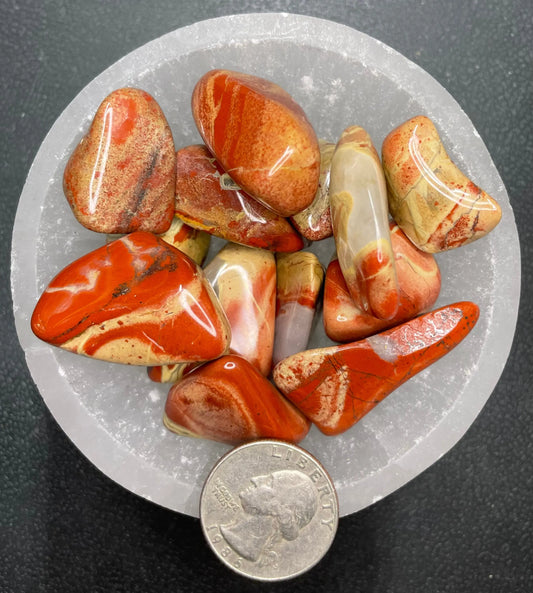 Snakeskin Jasper Tumbled Stone, 1 Pound Bag (Approx. 20-35 mm) WT-0130 - Shop Wholesale Crystals