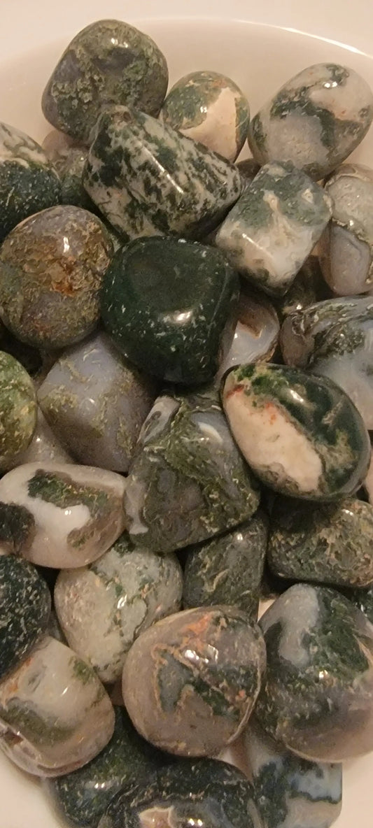 Tree Agate Tumbled Stone, 1 Pound Bag (Approx. 20-30 mm) WT-0142-A - Shop Wholesale Crystals