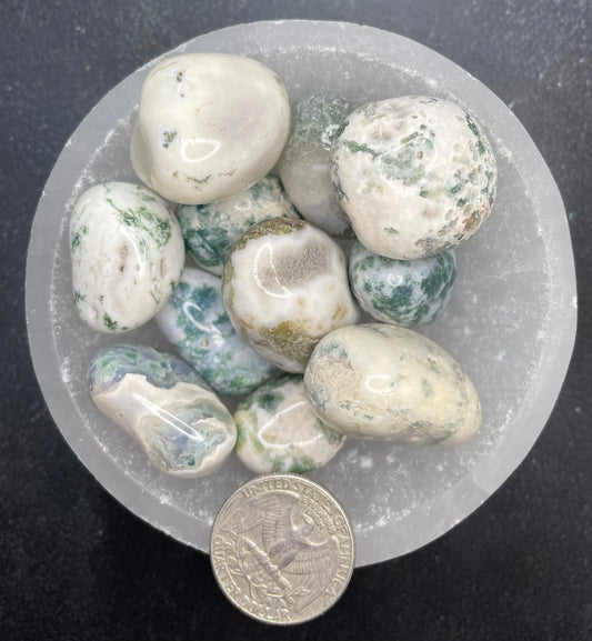 Tree Agate Tumbled Stone, 1 Pound Bag (Approx. 20-30 mm) WT-0142-B - Shop Wholesale Crystals