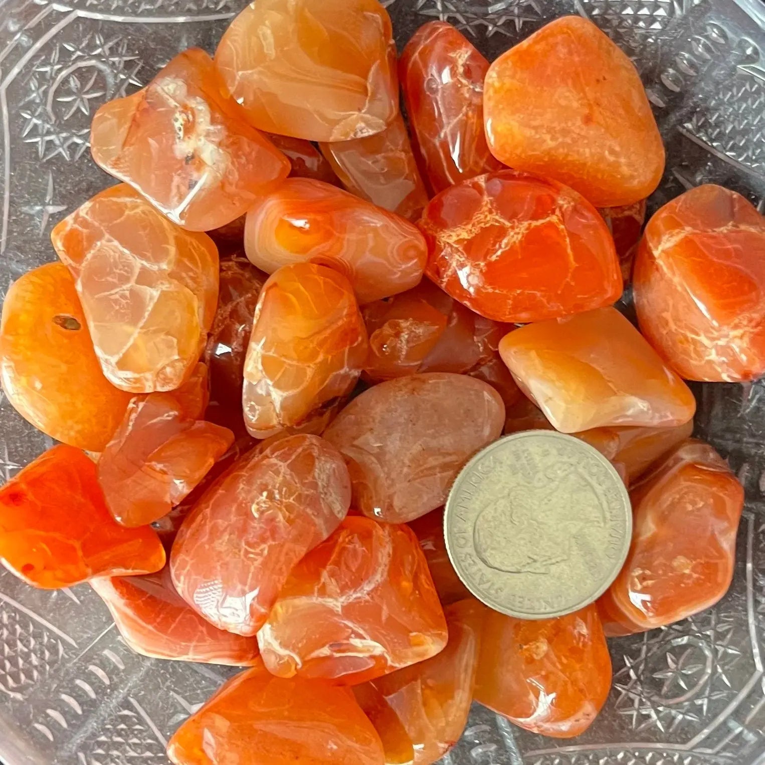 Carnelian Agate Tumbled Stone (Approx. 3/4” - 1”) 0621 Shop Wholesale Crystals