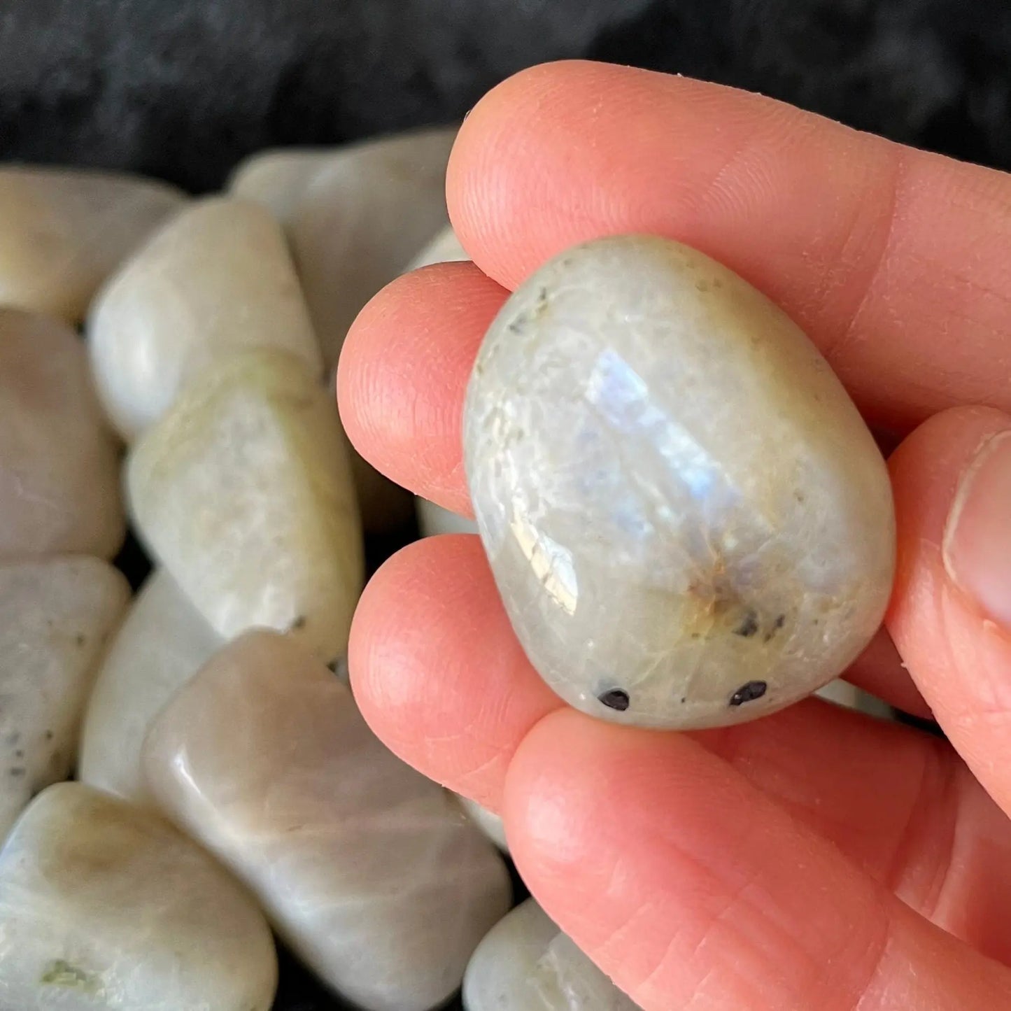 Grey Moonstone Tumbled Stone (Approx. 1" - 1 5/8”) 1522 Shop Wholesale Crystals