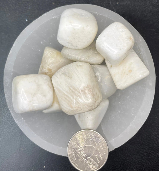 Scolocite Tumbled Stone, 1 Pound Bag (Approx. 10-15 mm) WT-0124 - Shop Wholesale Crystals