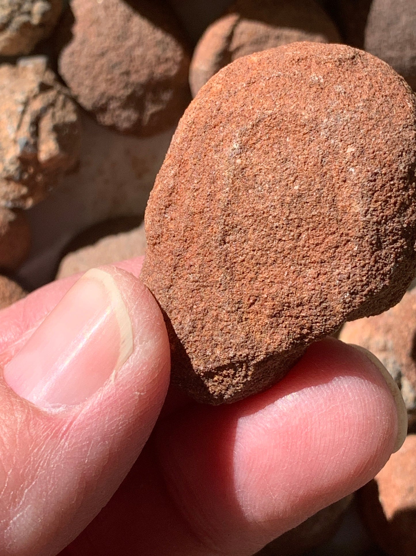 Concretion, Sandstone, Naturally Formed, Desert Stone (Approx. 1' - 1 1/2") 0472