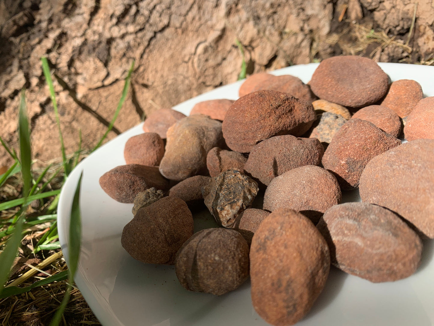 Concretion, Sandstone, Naturally Formed, Desert Stone (Approx. 1' - 1 1/2") 0472