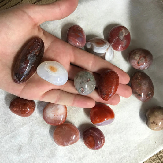 Polished Red Agate, Tumbled Stone (Approx. 3/4" - 1 1/4" long) for Wire Wrapping or Crystal Grid Supply BIN-1377 Shop Wholesale Crystals