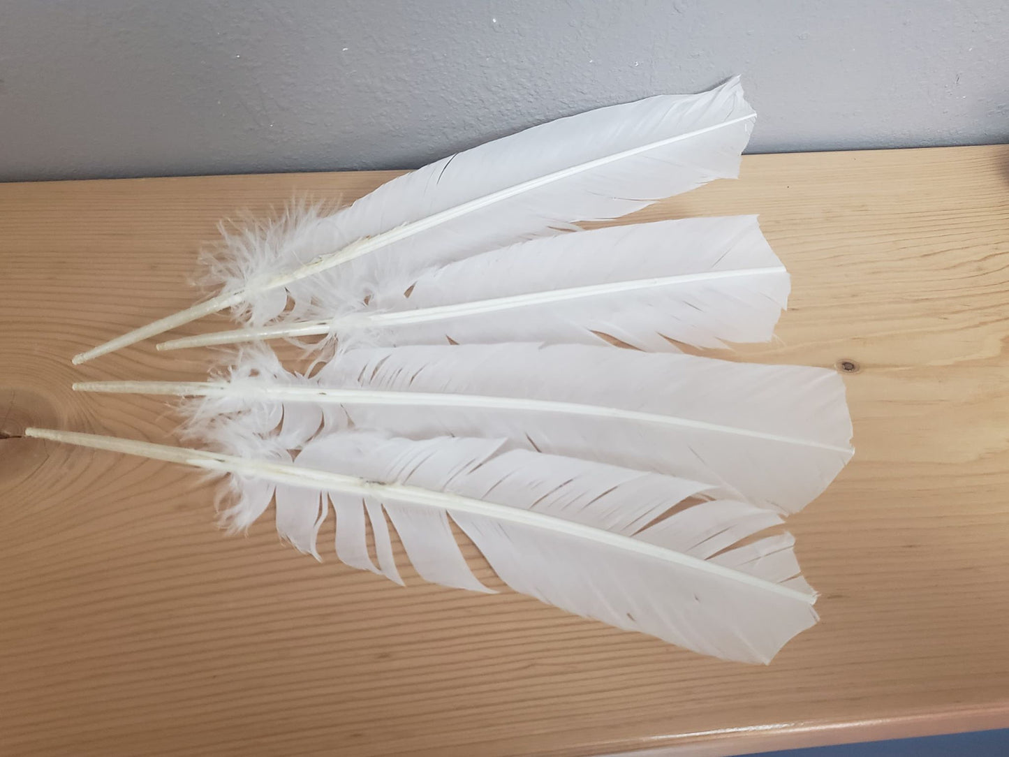 Large White Smudging Feather 1637