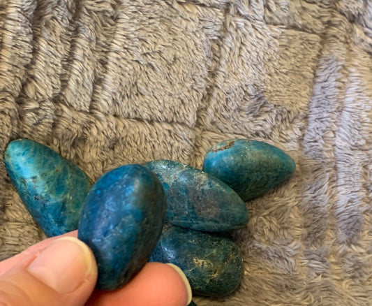 Apatite Tumbled Stone (Approx. 1 1/8" - 1 1/2") BIN-1290