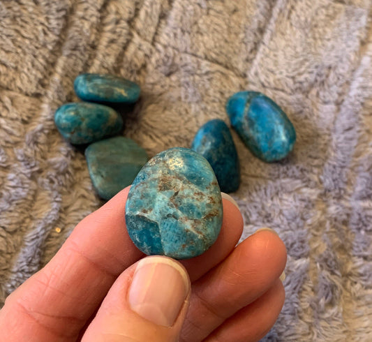 Apatite Tumbled Stone (Approx. 3/4" - 1") BIN-1410