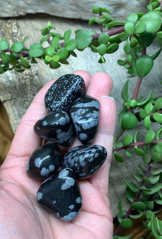 Snowflake Obsidian Tumbled Stone (Approx. 1" - 1 1/4") BIN-1515 Shop Wholesale Crystals
