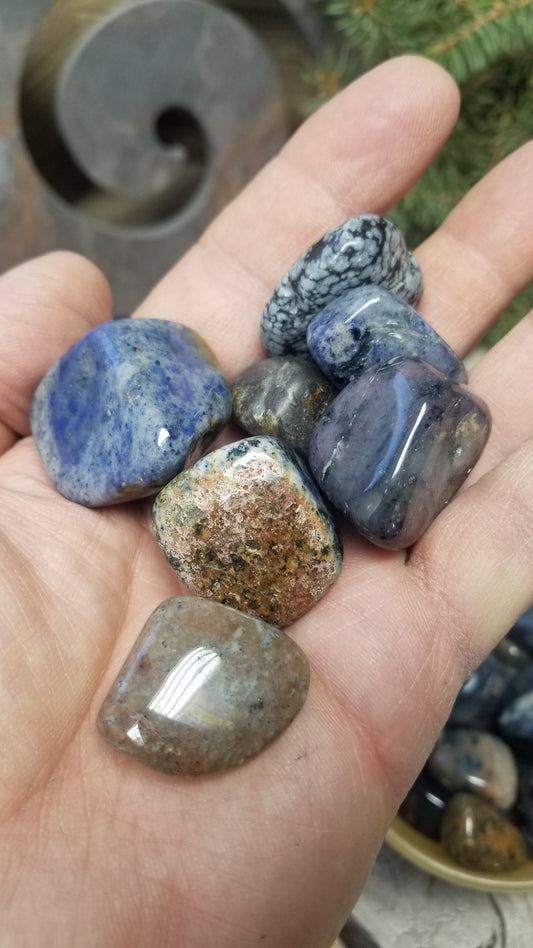 Dumorterite, Polished Tumbled Stone (Approx. 1" - 1 1/2" Long) for Wire Wrapping or Crystal Grid Supply BIN-1273