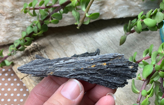 Black Kyanite Blade, Natural, Raw, Crystal (Approx. 1 1/2” - 3”) 1288