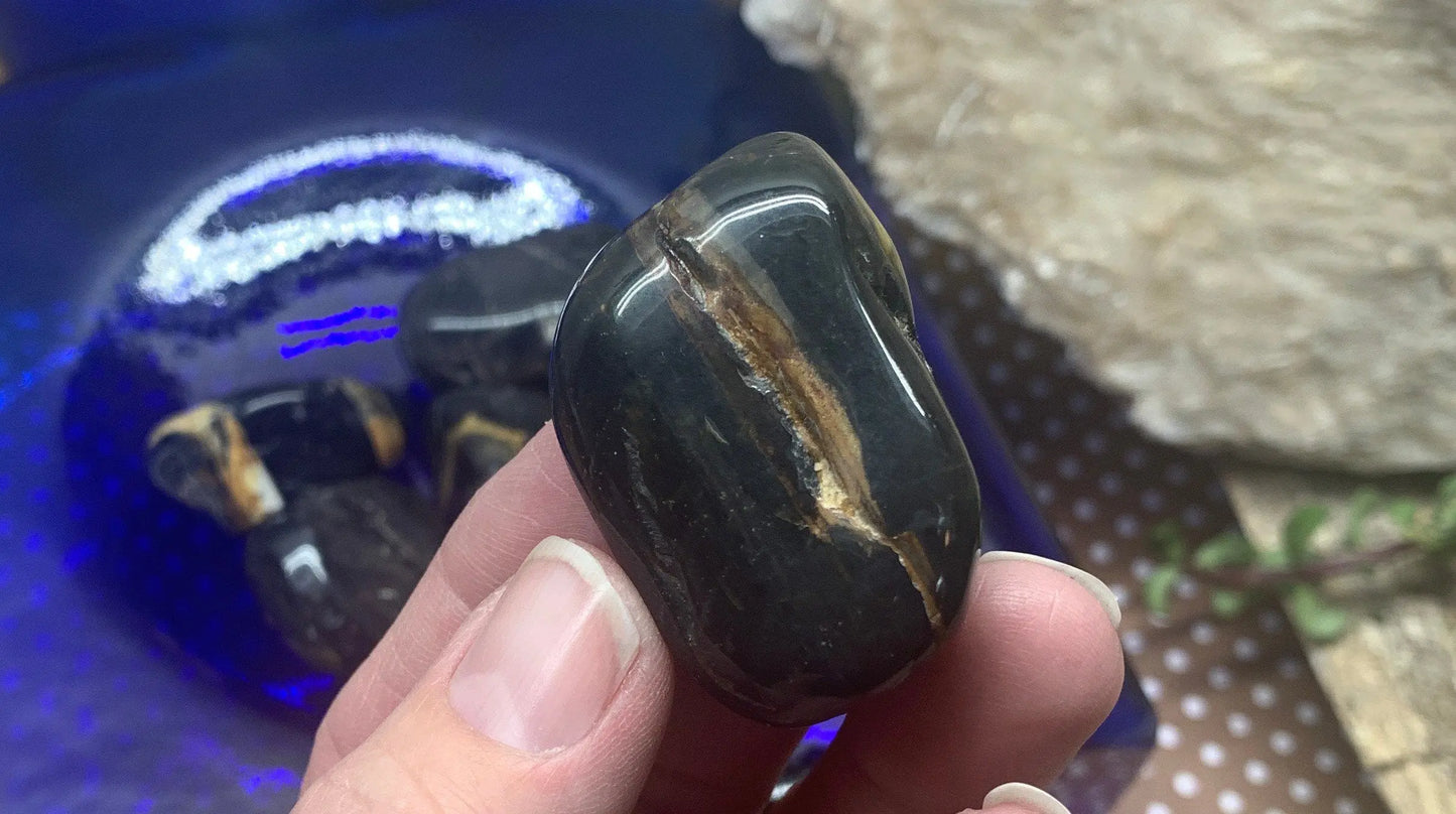 Black Onyx Tumbled Stone (Approx. 1 1/2" - 1 3/4") 0612 Shop Wholesale Crystals