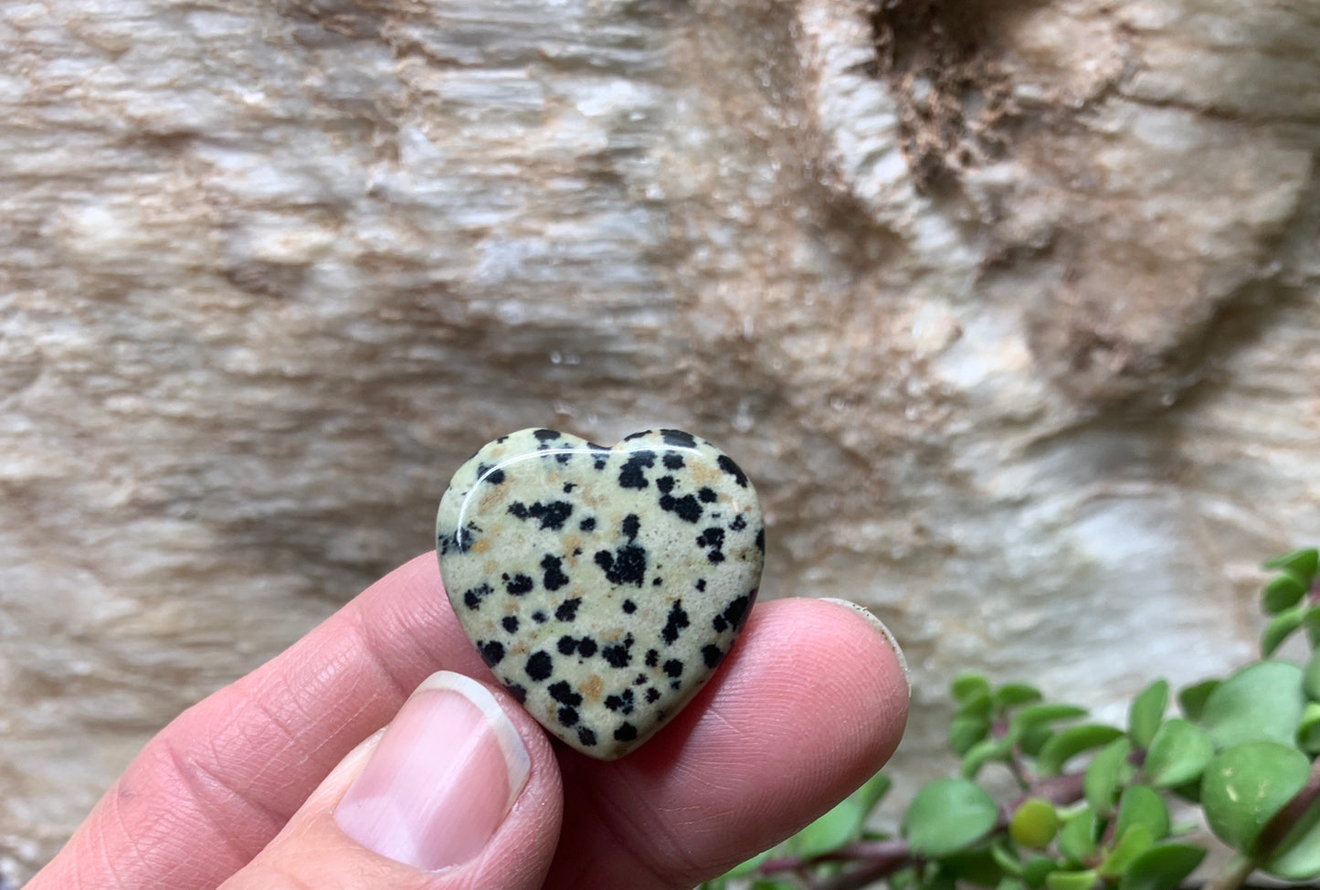 Dalmatian Jasper Heart 25mm 0551