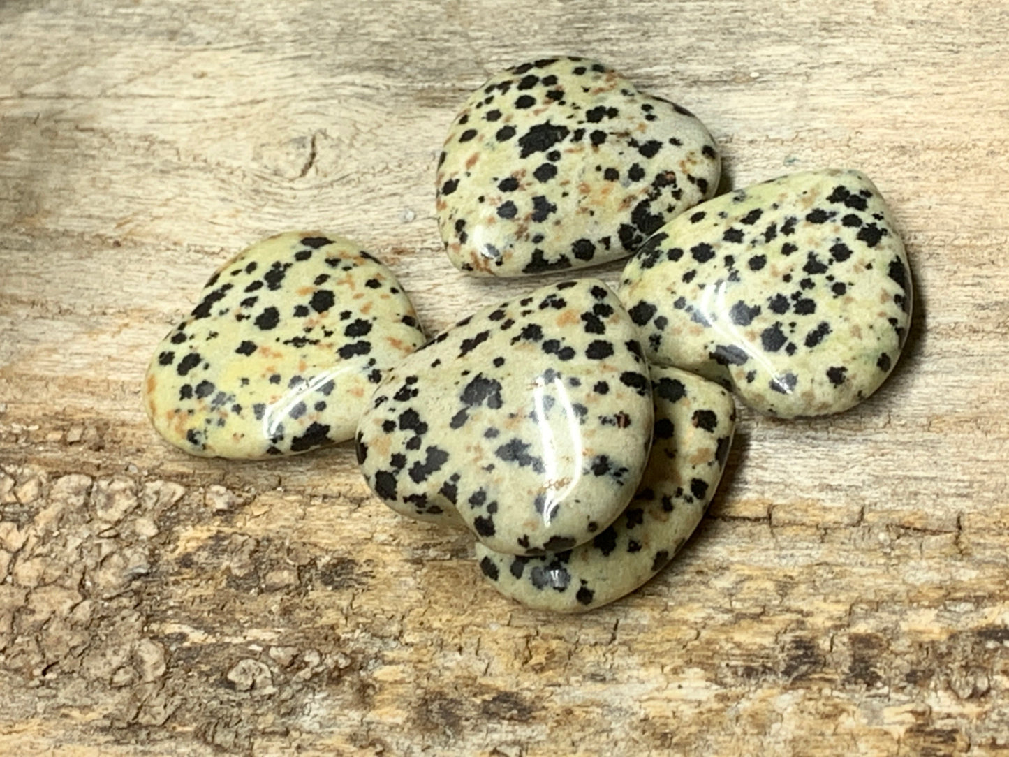 Dalmatian Jasper Heart 25mm 0551