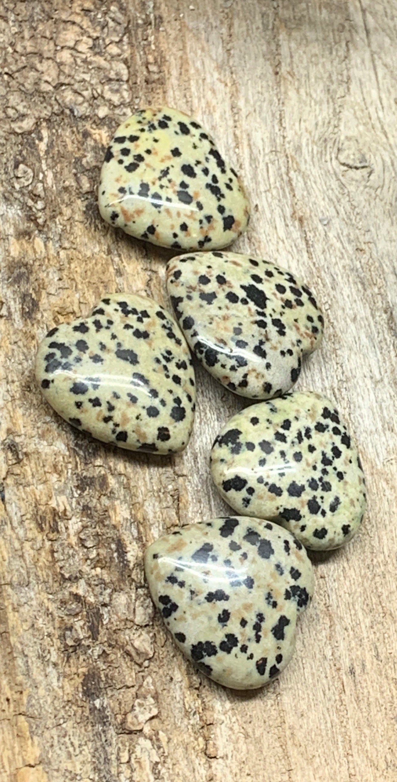 Dalmatian Jasper Heart 25mm 0551