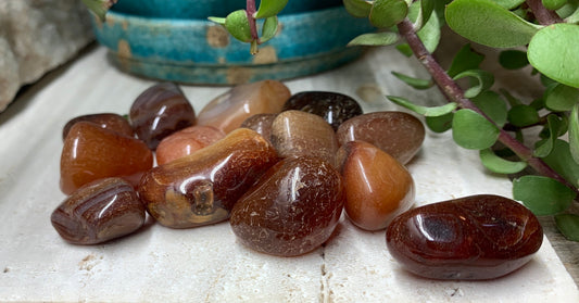 Carnelian Red Agate Tumbled Stone (3/4" - 1") BIN-1418