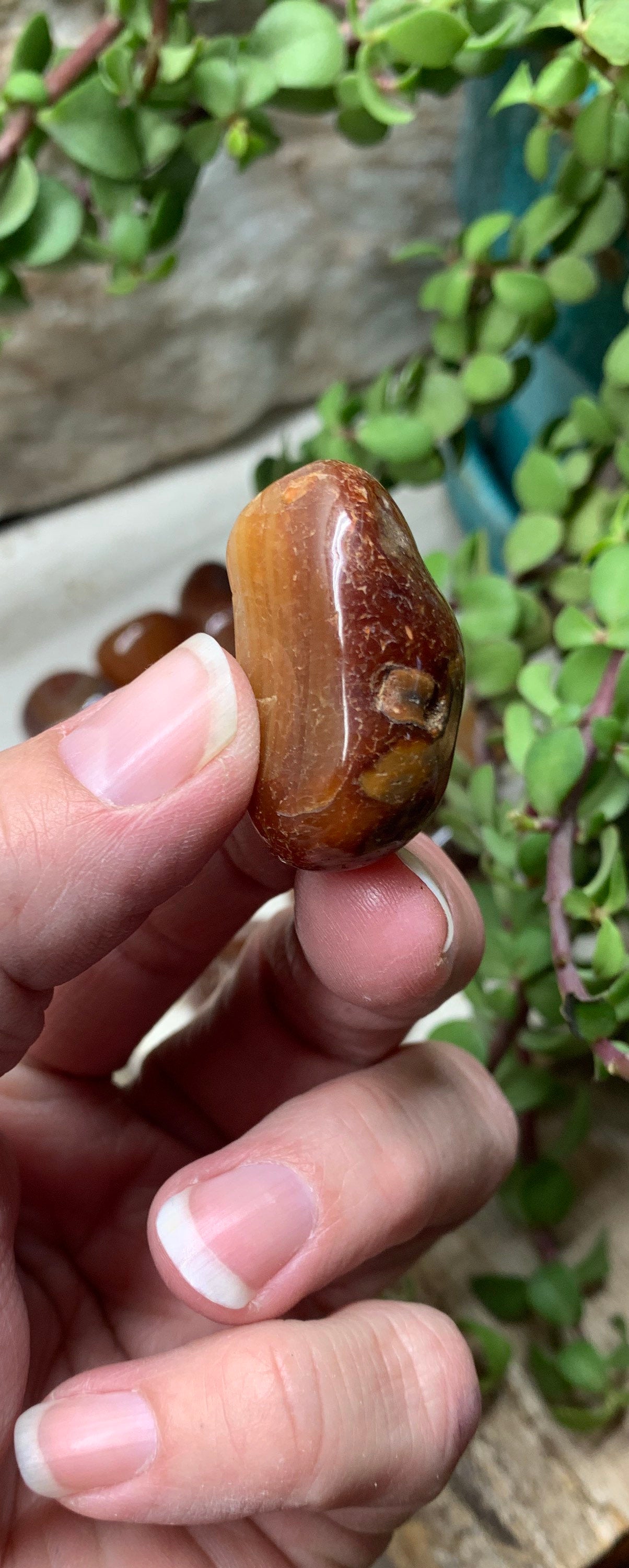 Carnelian Red Agate Tumbled Stone (3/4" - 1") BIN-1418