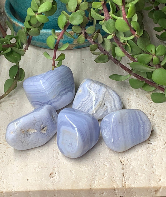 Blue Lace Agate XL (Approx. 1 1/2" - 1 3/4") Polished Tumbled Stone BIN-0587