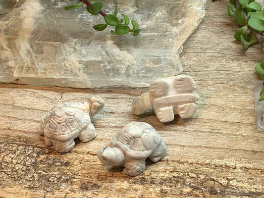 Howlite Turtle 0176