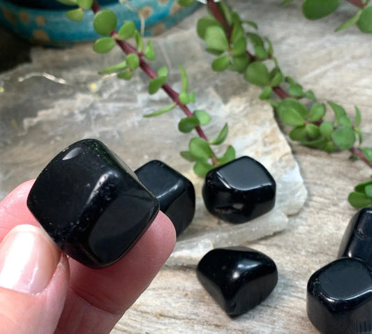 Black Obsidian Tumbled Stone (Approx. 5/8" - 3/4") BIN-1426 Shop Wholesale Crystals
