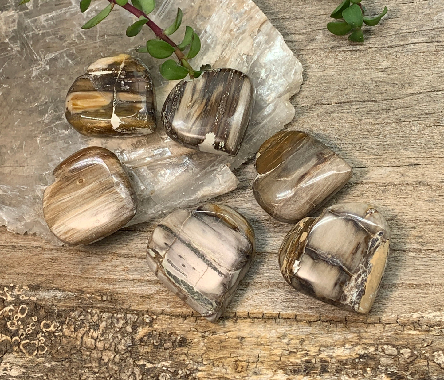 Petrified Wood Heart (Approx. 1"-1 1/4") 0585