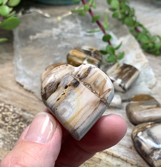 Petrified Wood Heart (Approx. 1"-1 1/4") 0585