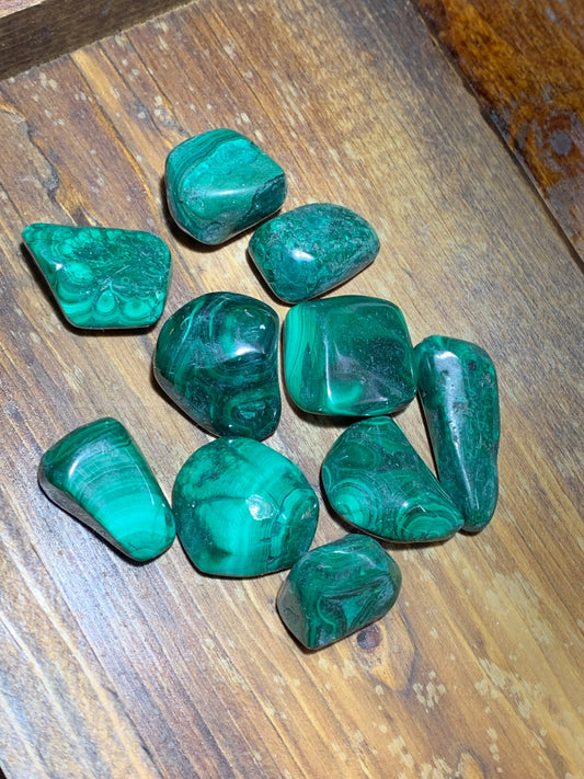 Green Malachite, 3/4" to 1" Polished Tumbled Stone BIN-1412 Shop Wholesale Crystals