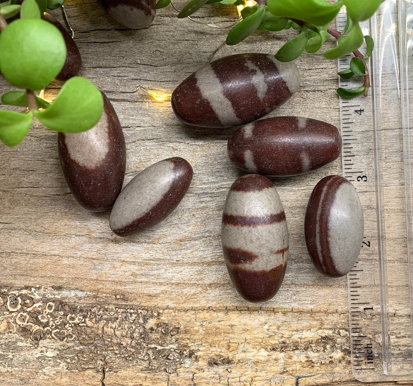 Shiva Lingam Stone (Approx 1 1/2"- 1 3/4") 0594