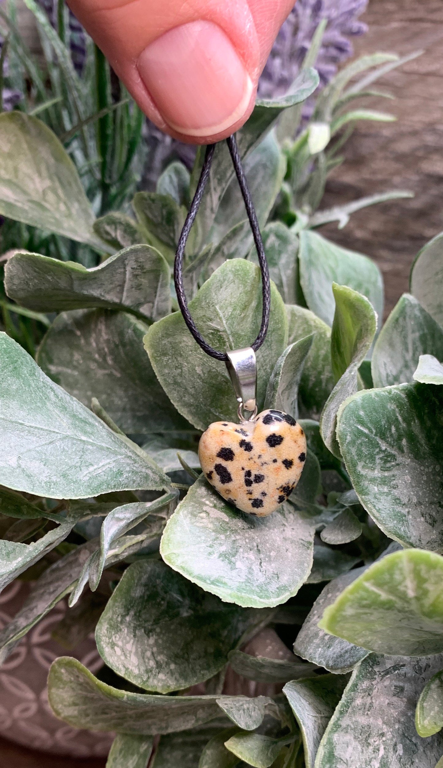 Dalmatian Jasper Heart HOT-0469