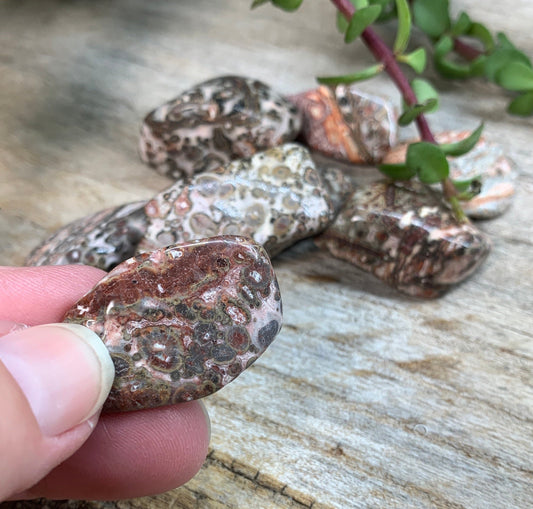 Leopard Skin Jasper Tumbled Stone (Approx 1" - 1 1/2") 0637