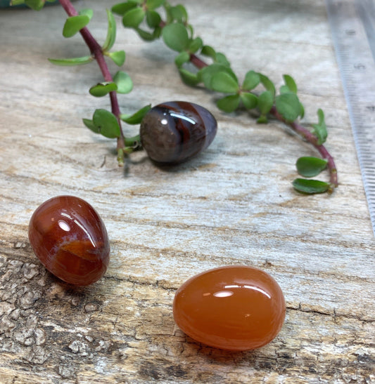 Carnelian Agate Egg 3/4” 0392