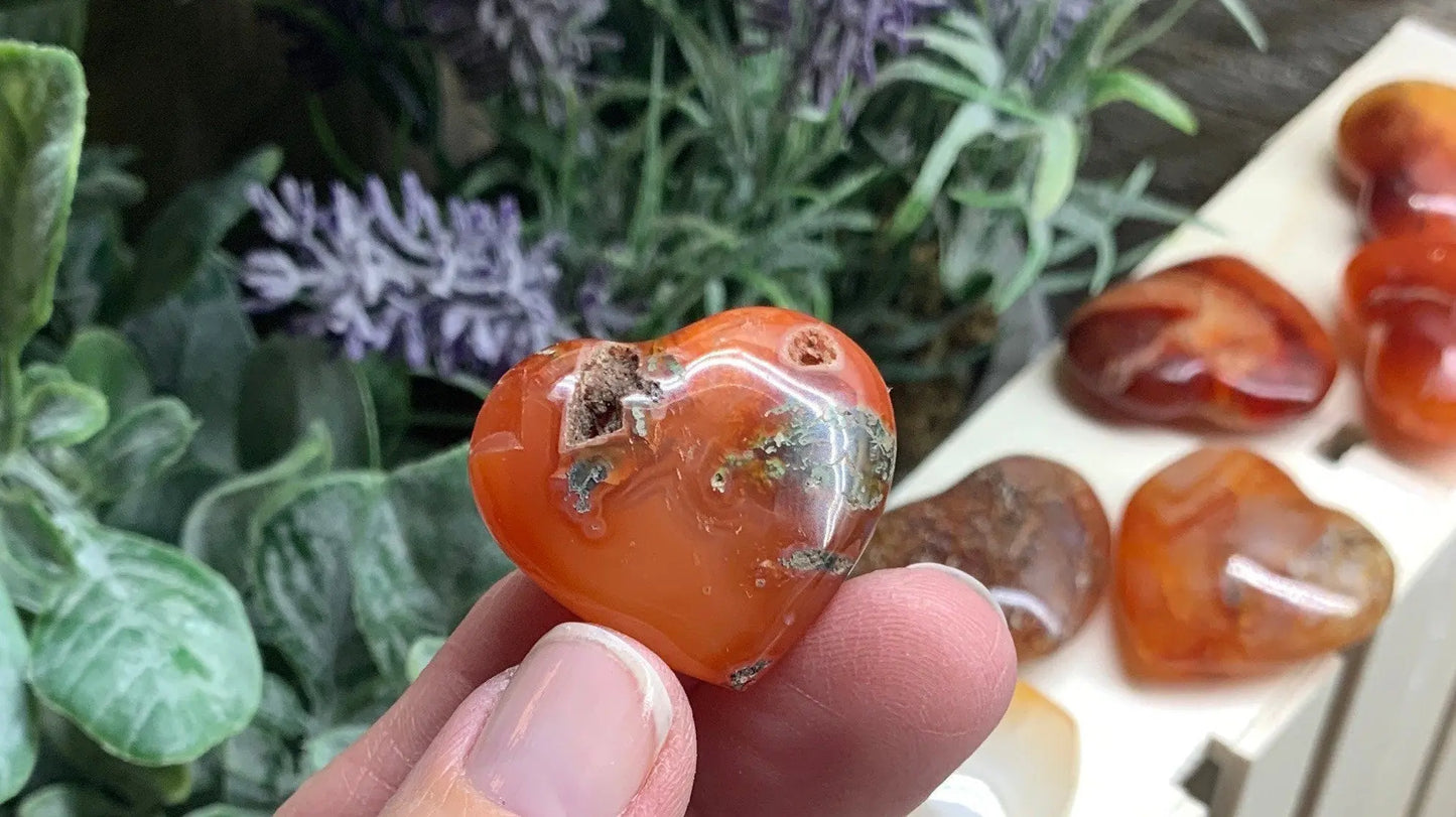 Carnelian Agate Heart (Medium) Approx. 1 1/4” 0581 Shop Wholesale Crystals